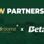 “melhores odds apostas Brasil”